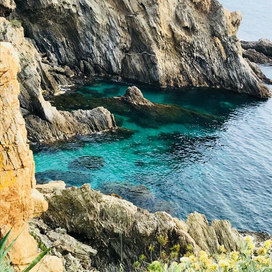 Villa K Presqu Ile De Giens 히에레 외부 사진
